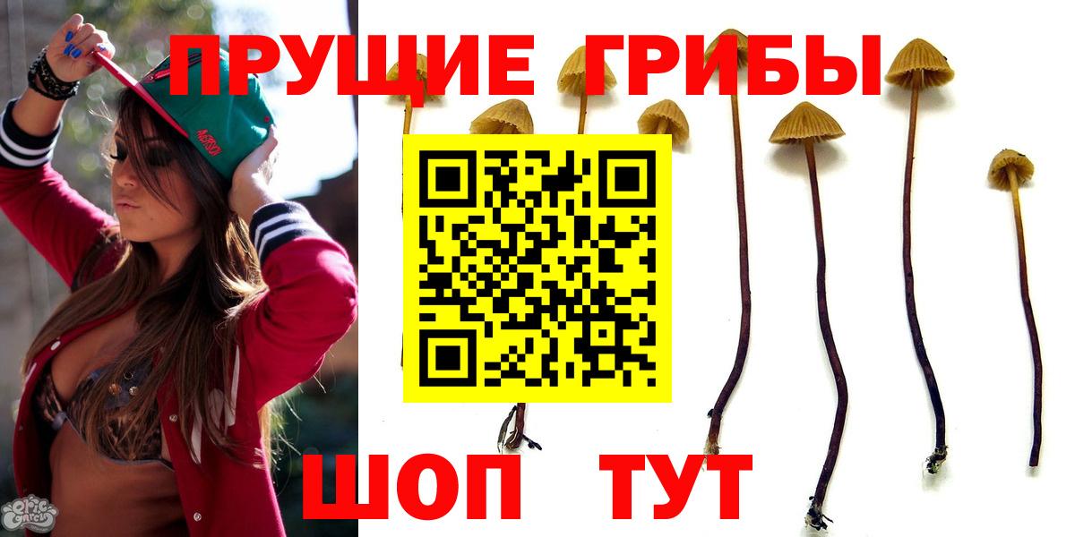 Галлюциногенные грибы Cubensis Петрозаводск