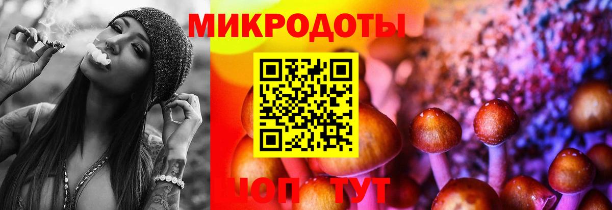 Псилоцибиновые грибы прущие грибы  Галлюциногенные грибы GOLDEN TEACHER  Петрозаводск  Вход с VPN 